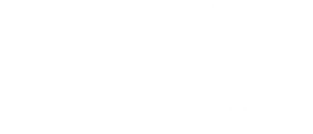 TNW logo