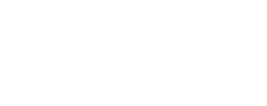 Wired logo